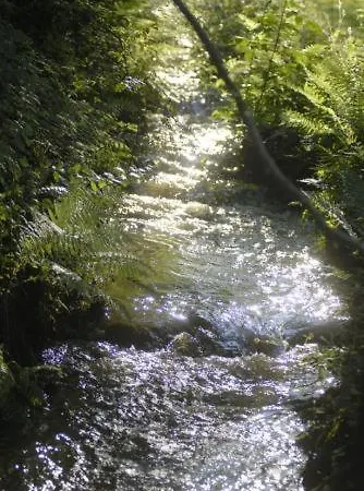 מלון Moulin De Boiron